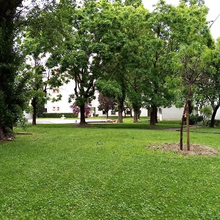 Chambre Double Greg En Colocation Montpellier Luaran gambar